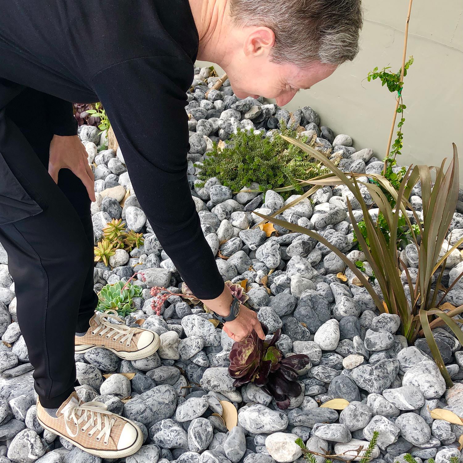 me-in-garden JEN en el jardin